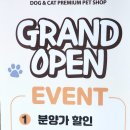 하이멍냥 강아지분양 고양이분양 서울본점 이미지