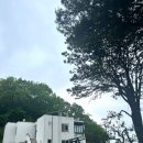 보나의언덕 이미지