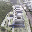 안중출장소 앞 이미지