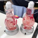 빛나유치원 | '하바플라리움과 빛나는 너' 힐링 원예체험 경남 부산 울산 창원 초등학교 함께 걷는 마음정원 원예심리...