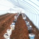 션샤인 하우스 이미지