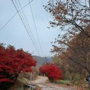 고라데이민박 이미지