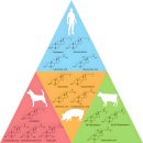 클로비스 이미지