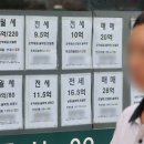 양상공인중개사사무소 이미지