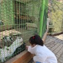 남서울어린이집 이미지