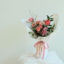 땅트플레르 이미지