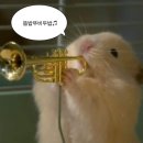 [유럽3주여행] 스페인 7박8일 (2) :: 바르셀로나의 폭우를 경험해 보셨나요?