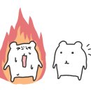 깊은숲한의원 네이버블로그