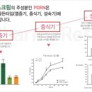 해오름약국 이미지