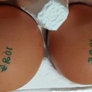 영춘농장 이미지