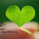 랑 이미지