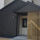 프로젝트19