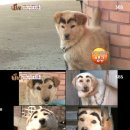 숯검댕이 이미지