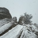 신흥로3L 이미지