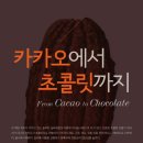 카카오초콜릿연구원 이미지