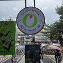 올리브영철산역점 | 🛍️ 직장인 올영 쇼핑, &#39;올리브영 철산역점&#39;에서 발견한 숨은 보석들