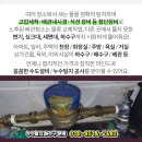 김종수내과의원 이미지