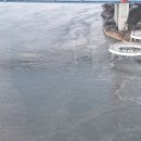 개랑 나들이 | [26년도 새해 가족 나들이(완결)]울돌목 위로 다니는 케이블카?! - 명량해상케이블카 N차 방문 후기.