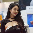 스톨츠 이미지