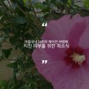 미녀 에스테틱