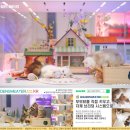 브리티시숏헤어 인연의 기록