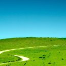 꽃향기바다소리 이미지