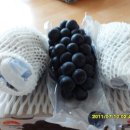 삼일농산