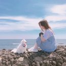 제주의사계 이미지