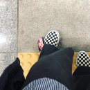 정신을 차려보니 스물아홉의 봄이 끝났다