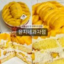 [윤지네과자점] 신림역 빵집 서울 망고 케이크 맛집 추천