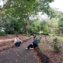 동행 74. 제주여행 3일째 – 치유의 숲 –용머리해안 -쇠소깍-산방산탄산수온천 이미지