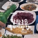 신녹향생고기 - 중구 종로 43 | 대구 달서구 두류동 뭉티기 오드레기 맛집 <신녹향 생고기 본점> 내돈내산 현지인 솔직후기