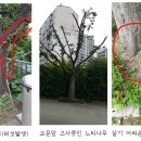 (주)참솔 네이버블로그