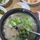 포항 죽도시장 맛집 60년 전통 장기식당 소머리곰탕 내돈내산 후기