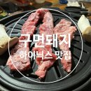 구면돼지 이미지