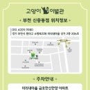 고양이 이발관 이미지