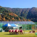 갑을골권역 이미지