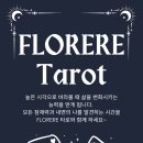 지나타로 이미지