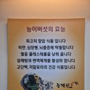 자연능이버섯백숙 이미지