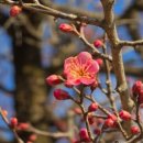 카니발의 아침 이미지