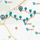 팔공산녹색길 숲길 1코스 이미지