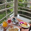 아이콘주유소 | 차 누사페니다③, 사누르① | Next Level Cafe, 푸리 산트리안, Warung Naksa, 아이콘 발리, The star spa