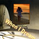 DREAM net 이미지