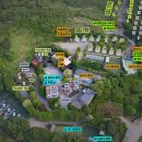 푸른숲캠핑장 이미지