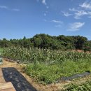 건우농장 이미지