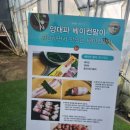 물조리자리 이미지