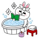 아이펫샵 이미지
