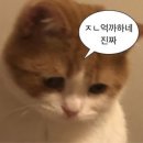 (주)비즈글로리 이미지