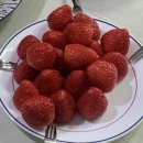 후암농장 이미지