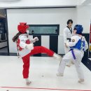 타이거즈태권도 이미지